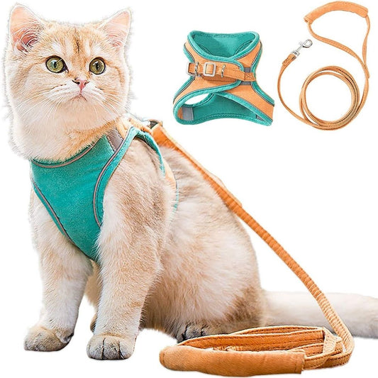 Harnais et laisse pour chat, présentés sur un fond neutre