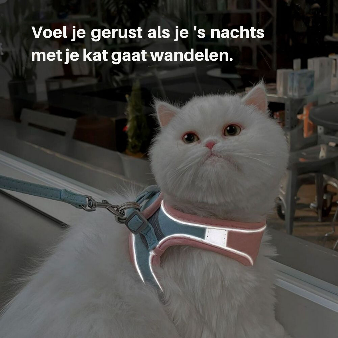 Harnais pour chat en tissu respirant, détails des coutures