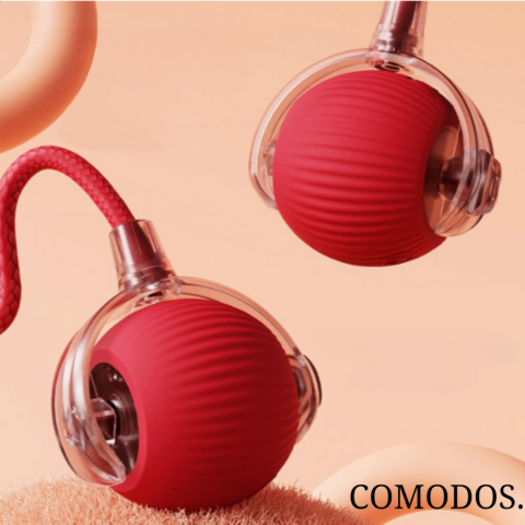 Vue d'ensemble du jouet pour chat, design moderne et durable