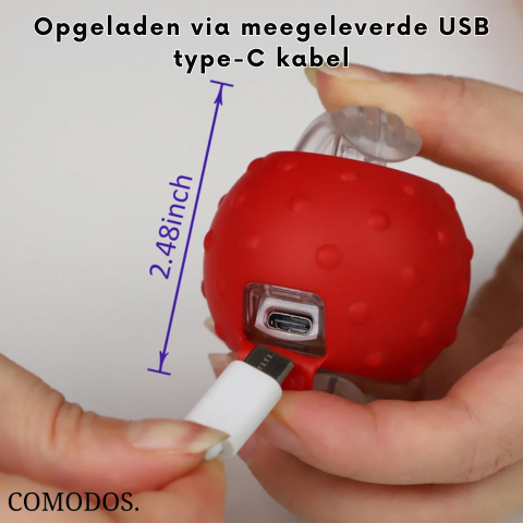 Chat jouant avec un jouet imitant une proie réelle