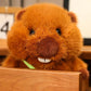 Jouet en peluche castor avec large sourire et queue duveteuse