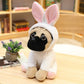 Carlin en peluche avec grimace, yeux ronds et nez plat