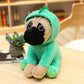Peluche carlin assise, oreilles tombantes et sourire espiègle