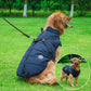 Chien portant un manteau imperméable avec harnais intégré