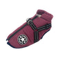 Vue arrière du manteau pour chien avec attache de laisse