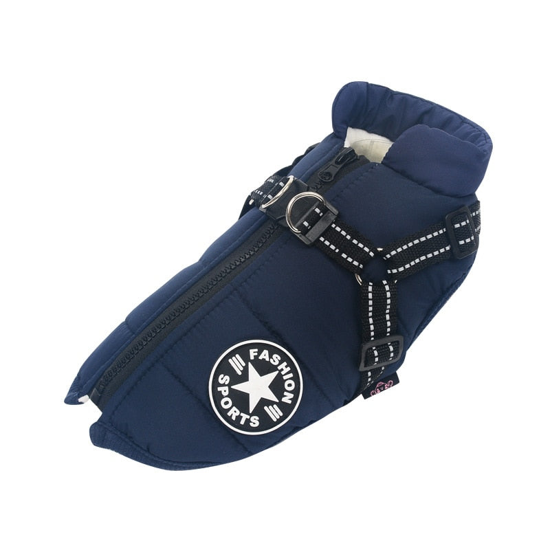 Chien de grande taille portant un manteau ajusté