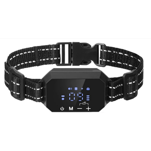 Collier de dressage GPS en gros plan avec fonctionnalités visibles