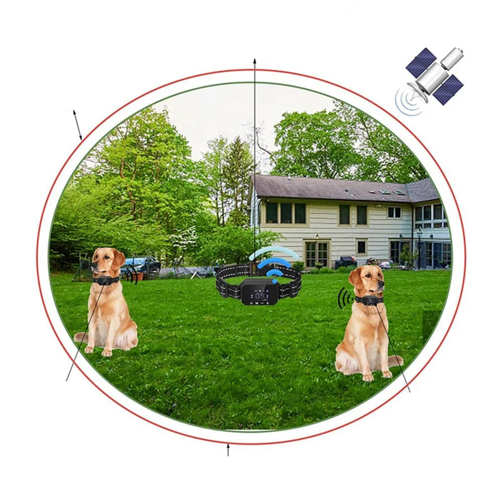 Vue rapprochée du collier GPS montrant les options de réglage