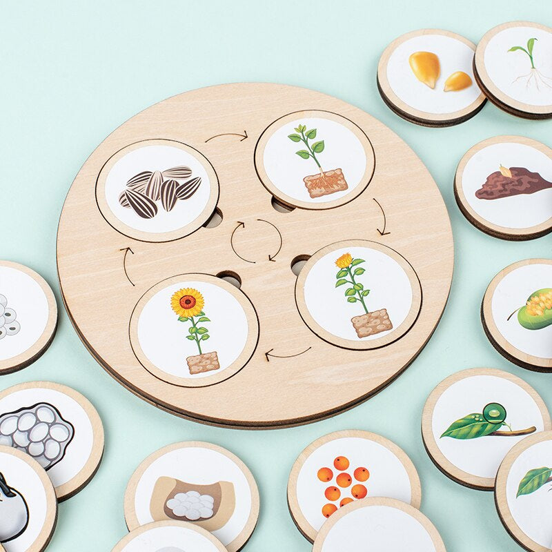 Ensemble complet de puzzle en bois avec cartes éducatives