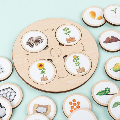 Ensemble complet de puzzle en bois avec cartes éducatives