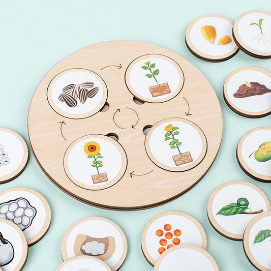 Ensemble complet de puzzle en bois avec cartes éducatives