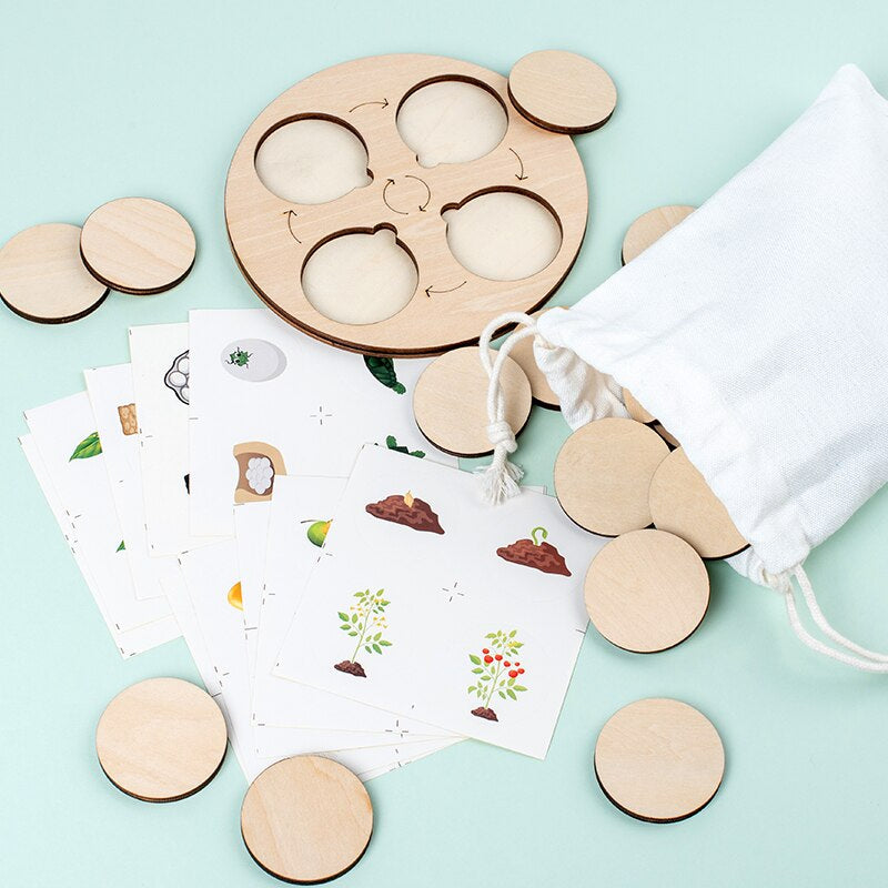 Puzzle en bois montrant le cycle de vie d'un papillon