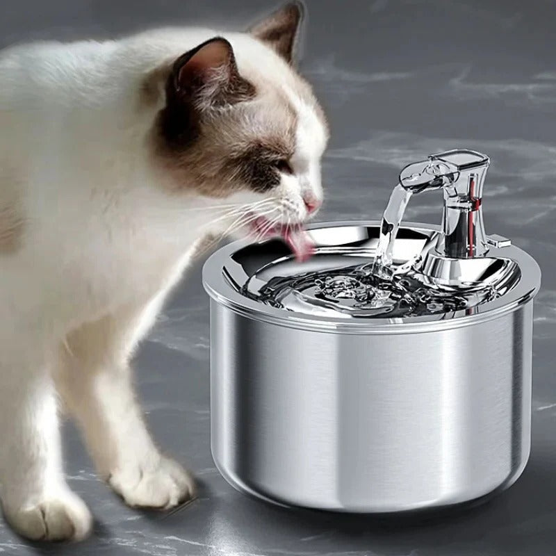 Pièces amovibles de la fontaine pour un nettoyage facile