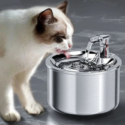Pièces amovibles de la fontaine pour un nettoyage facile