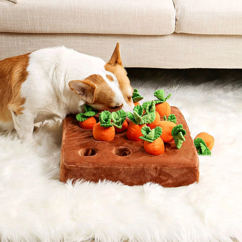 Tapis de jeu interactif avec carottes, idéal pour stimulation mentale