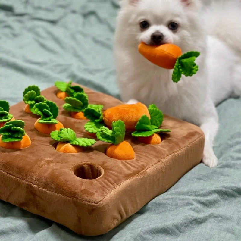 Chien jouant avec le puzzle, cherchant des friandises cachées