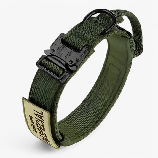 Collier noir avec sangle ajustable pour confort optimal