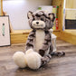 Chat en peluche Kawaii entouré de coussins colorés