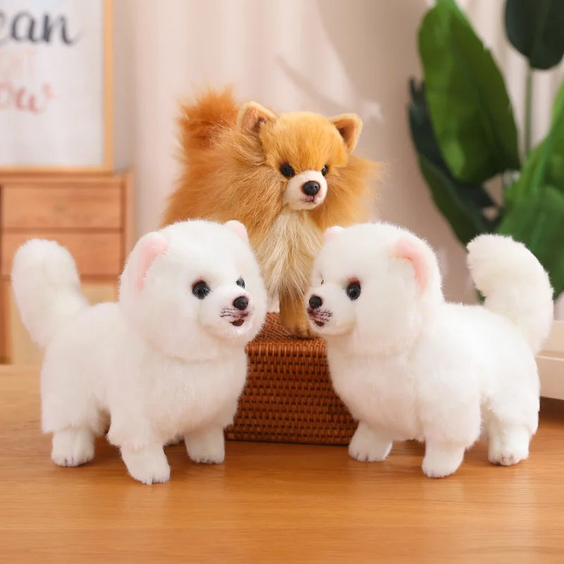 Gros plan sur le visage doux de la peluche Pomeranien