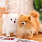 Enfant tenant une peluche Pomeranien dans ses bras