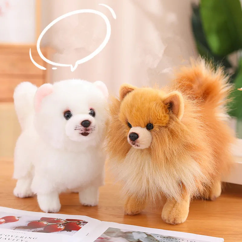 Enfant tenant une peluche Pomeranien dans ses bras