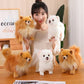 Peluche Pomeranien vue de côté, montrant sa texture douce