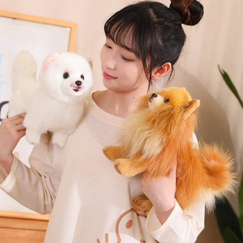 Peluche Pomeranien réaliste posée sur une table en bois