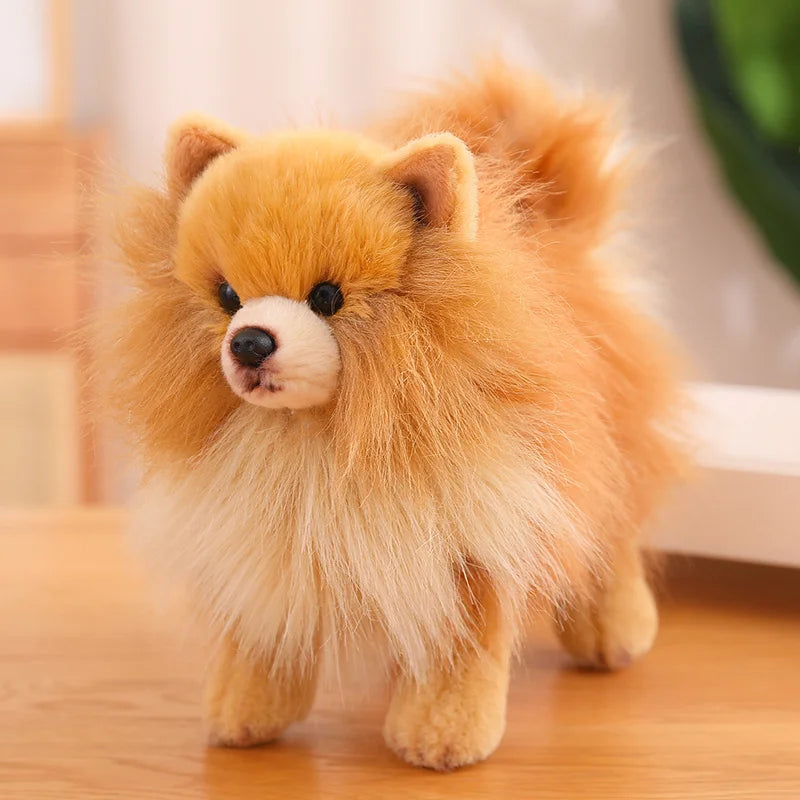 Peluche Pomeranien assise sur un canapé beige