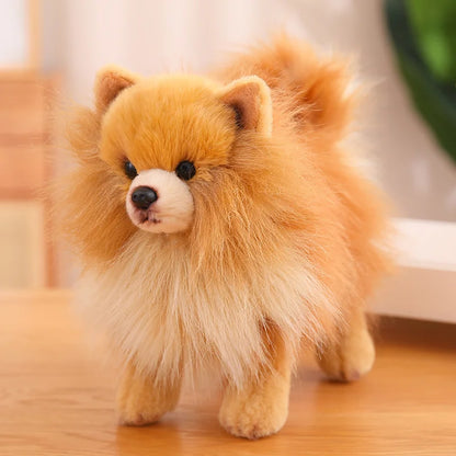 Peluche Pomeranien assise sur un canapé beige
