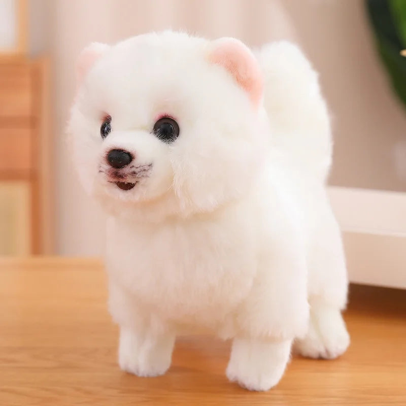Détail des pattes de la peluche Pomeranien sur un tapis