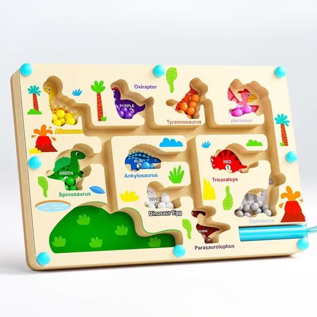 Détails des pièces colorées sur le labyrinthe magnétique