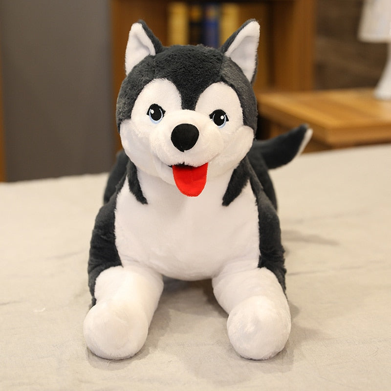 Peluche husky réaliste posée sur un tapis blanc