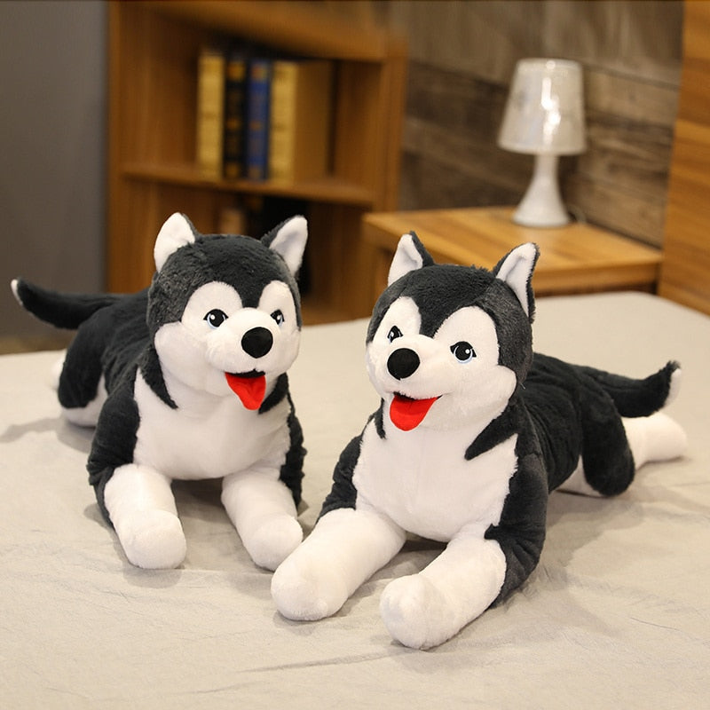Gros plan sur la tête du chiot husky en peluche