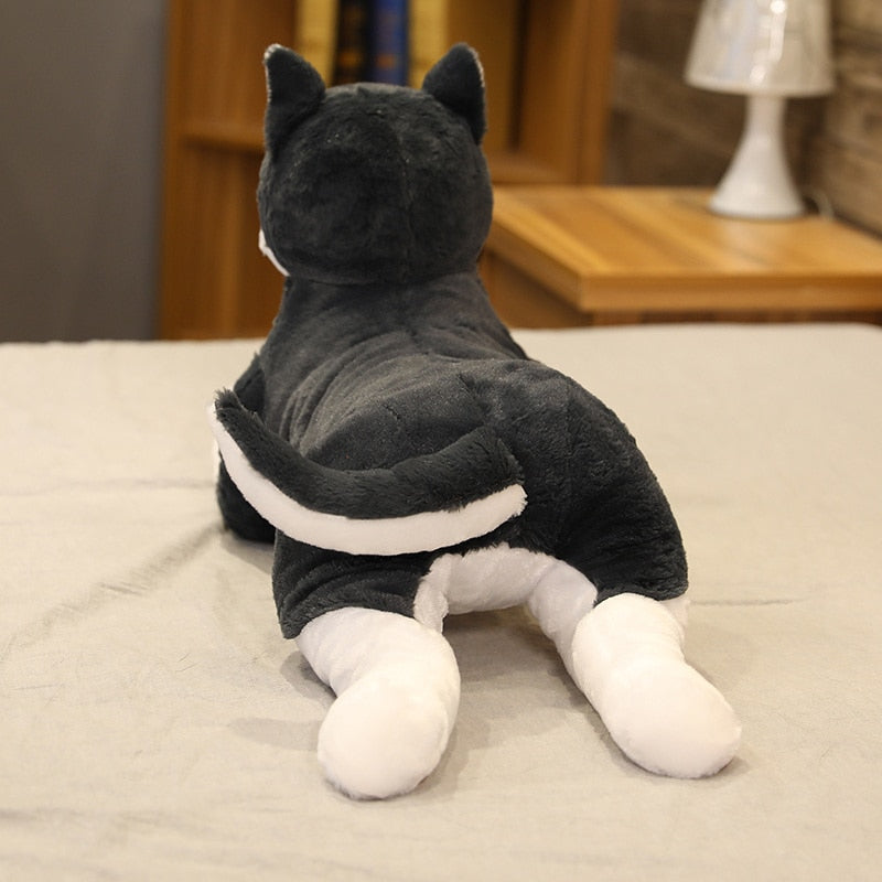 Vue latérale du chiot husky en peluche, fourrure douce