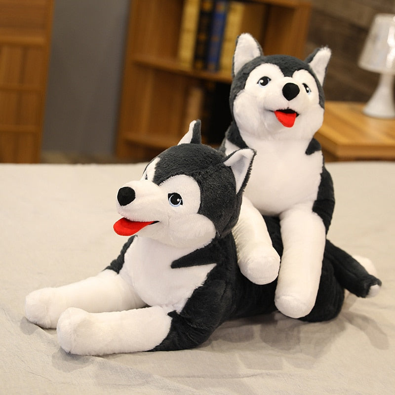 Peluche husky allongée sur un lit, yeux expressifs