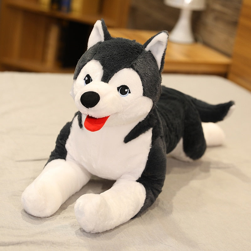 Détail des pattes du chiot husky en peluche