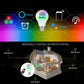 Gros plan sur le culot de l'ampoule LED connectée