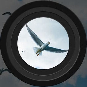 Jumelles de vision nocturne avec écran LCD intégré