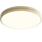 Détail du design rétro de la lampe de plafond