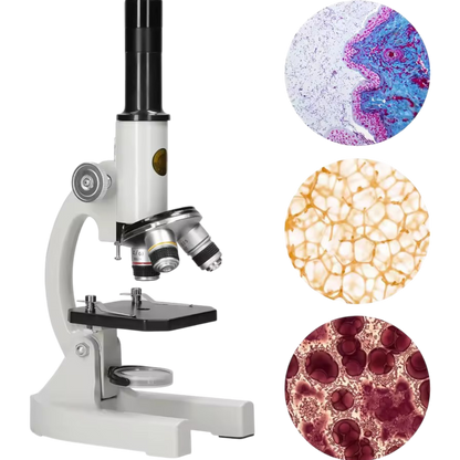 Ensemble complet du microscope avec accessoires inclus