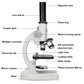 Vue de côté du microscope montrant le réglage du focus