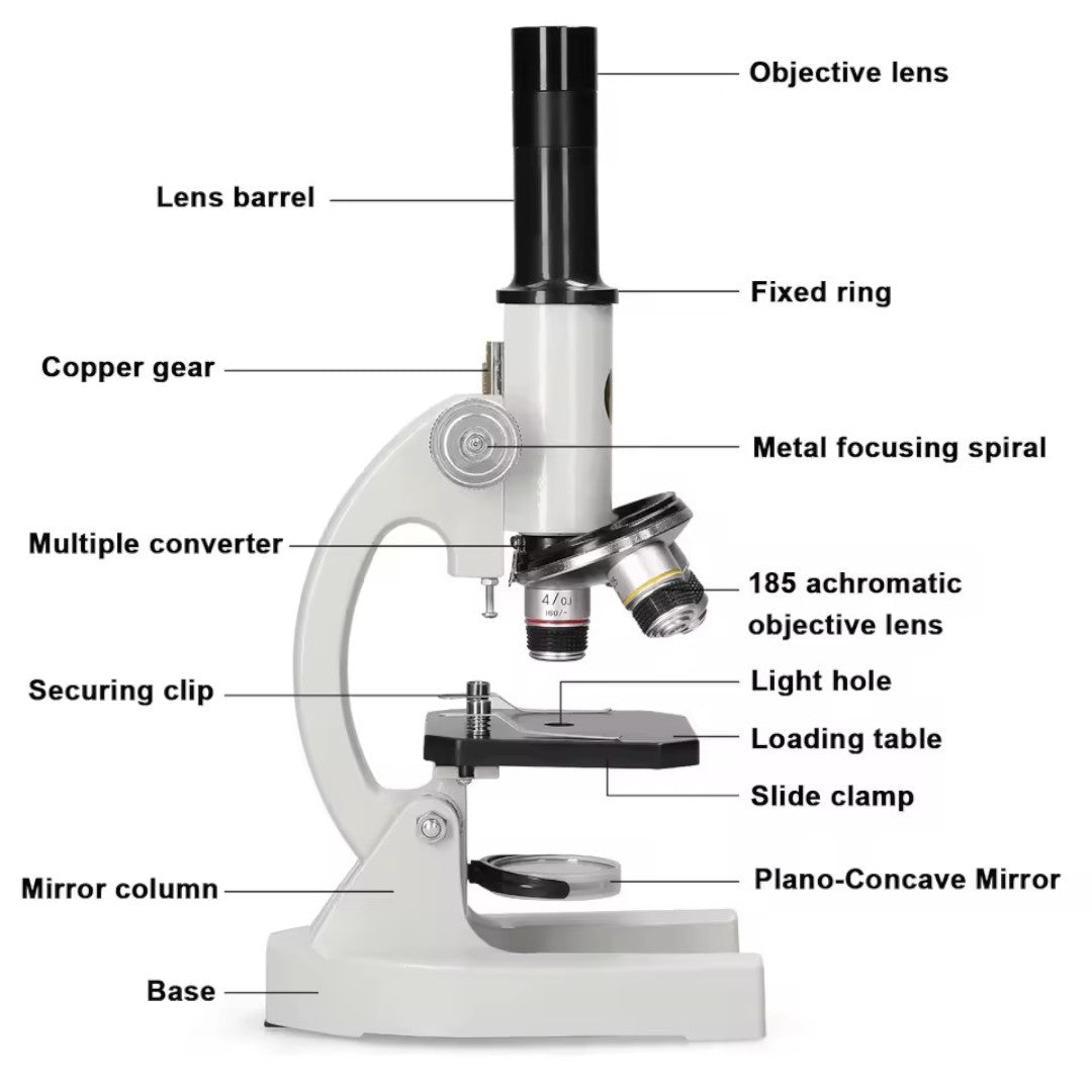 Vue de côté du microscope montrant le réglage du focus