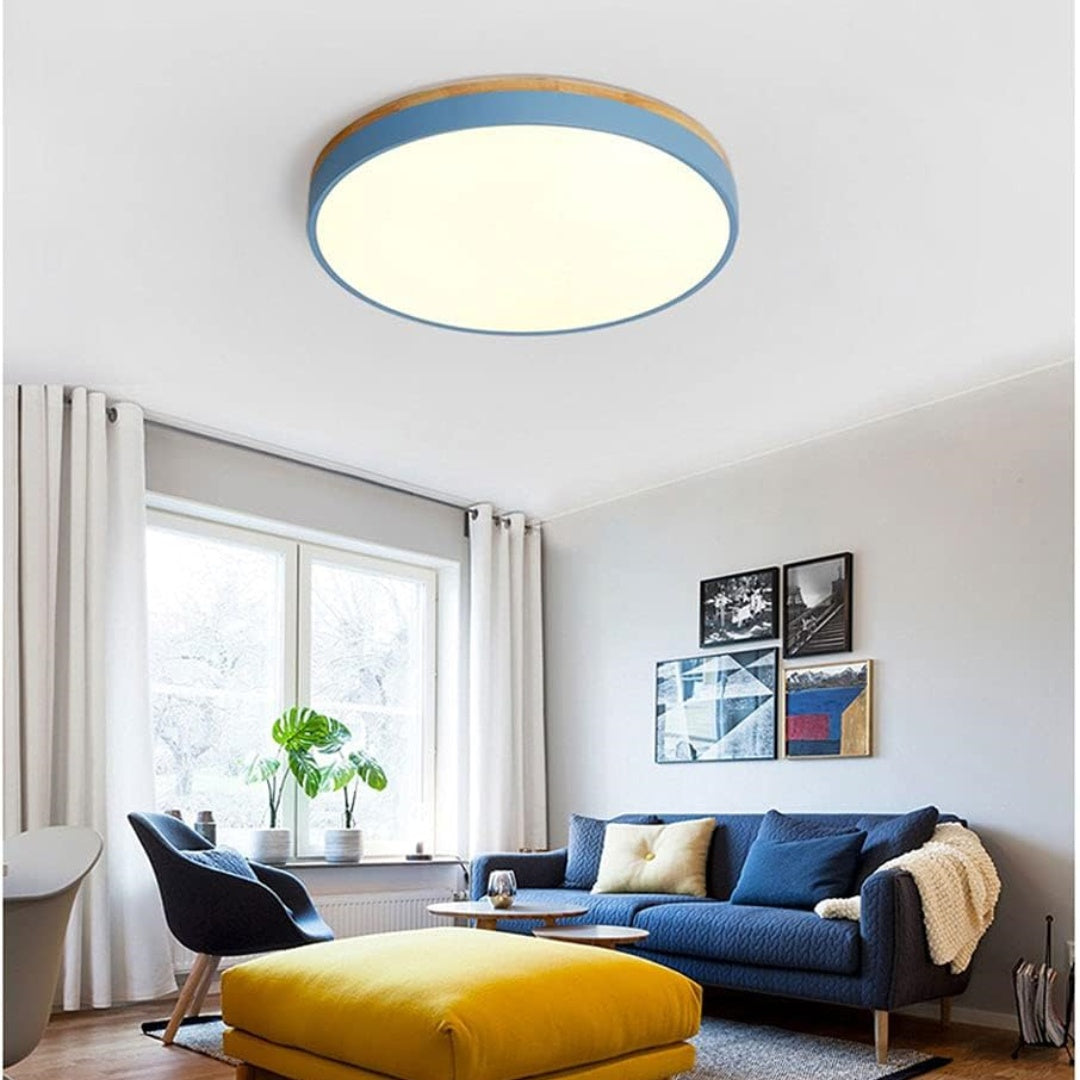 Détail de la lumière LED efficace et économique