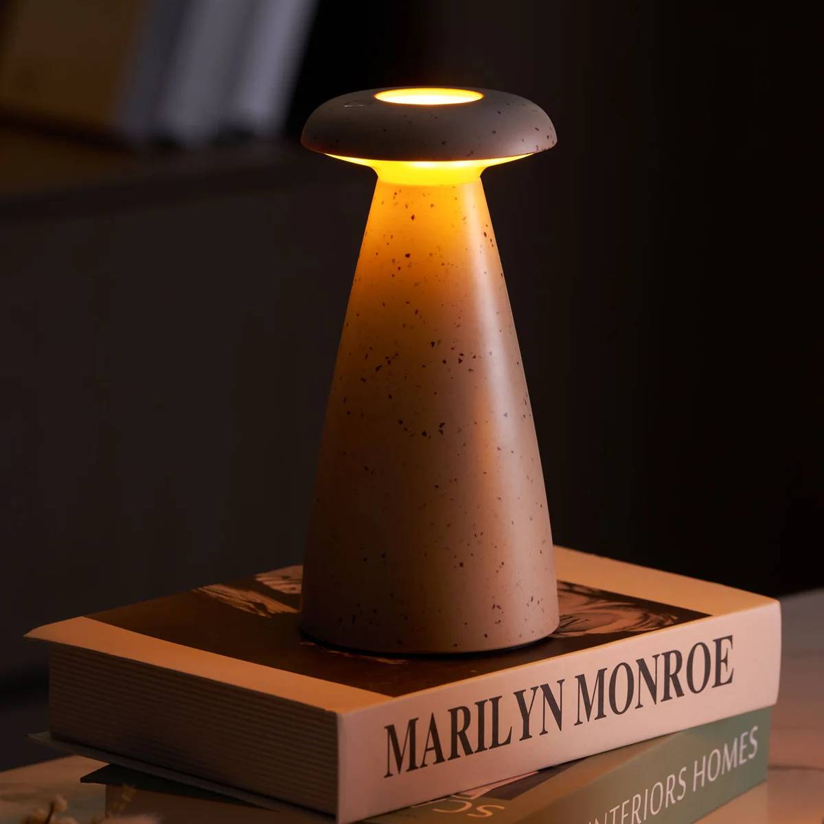 Lampe champignon avec nuances de gris et vert