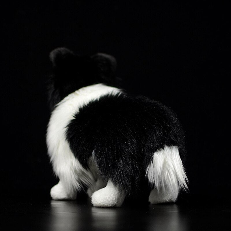 Gros plan sur la tête du Border Collie, fourrure douce