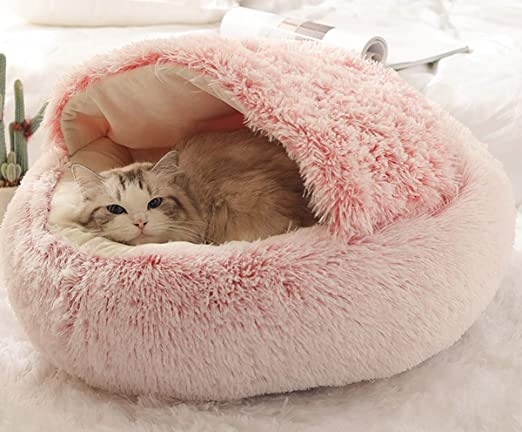 Chat confortablement installé dans un panier douillet