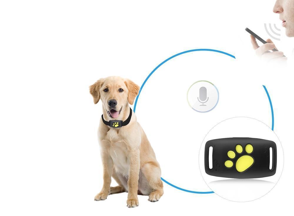 Gros plan du dispositif GPS compact et léger