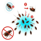 Contenu du kit de gel anti-cafards avec instructions