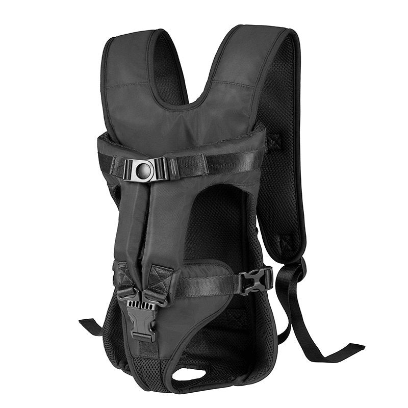 Chien confortablement installé dans le sac à dos