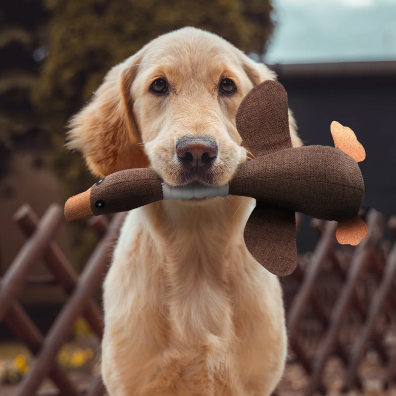 Jouet pour chien résistant en matériaux écologiques sur fond blanc